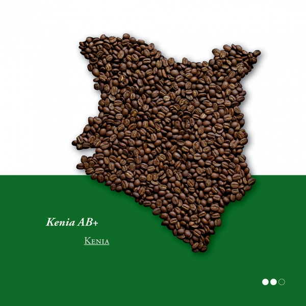 Kenia AB+ – Bild 2