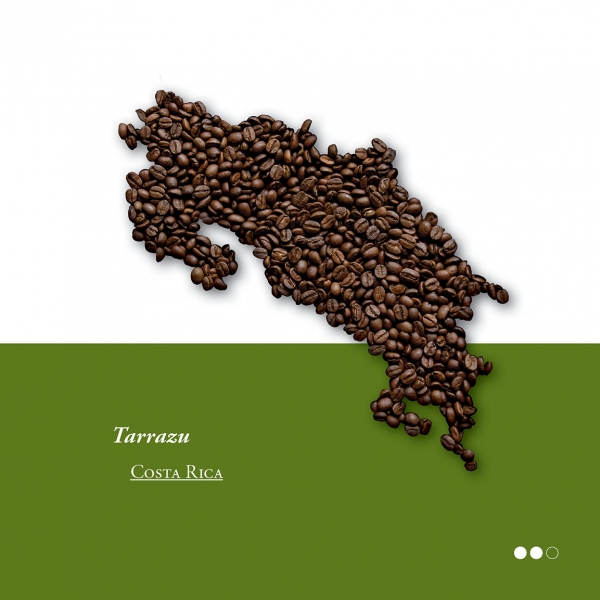 Tarrazu – Bild 2
