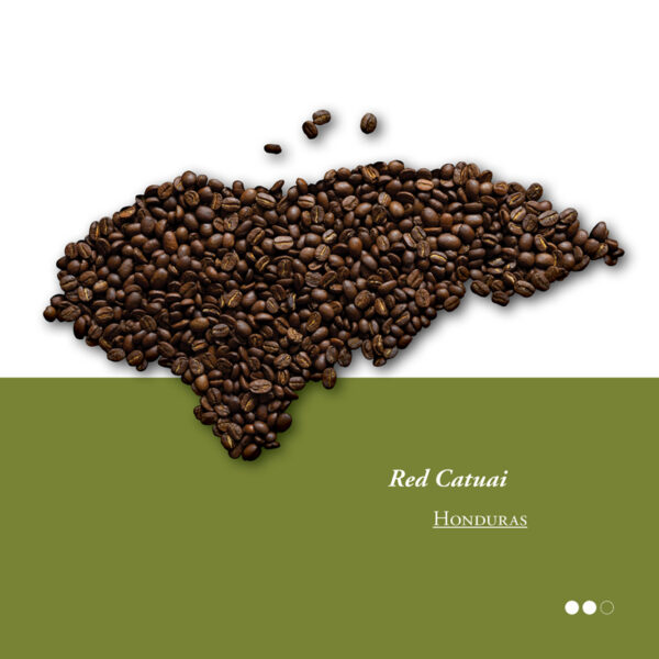 Roter Catuai – Bild 2
