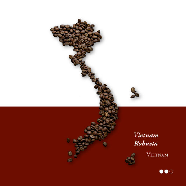 Vietnam Robusta, wet polished – Bild 2